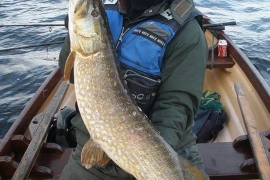 a person holding a fish on a boat in the water